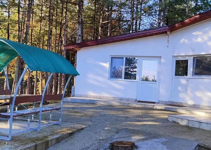 мони-зона релакс